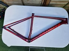 Specialized Epic Expert HT Carbon Frame, 29er, Size L, Very good Condition!