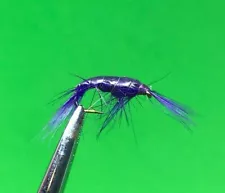 1 Dozen (12) Purple Shrimp Size 12 (290)