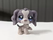 Authentic Littlest Pet Shop Cocker Spaniel #672 - Purple LPS Blemished Feet