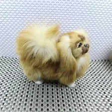 toy pekingese for sale