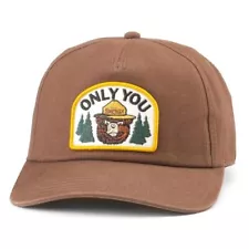 AMERICAN NEEDLE Smokey The Bear Canvas Roscoe Snapback Baseball Hat, Brown (2400