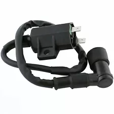 Ignition Coil for Kawasaki Bayou 400 KLF400 4X4 1993 1994 1995 1996 1997 98 1999 (For: Kawasaki Bayou 400)