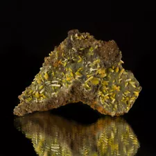 4.3" YellowGold BIPYRAMIDAL WULFENITE Crystals on Green Mimetite Mexico for sale