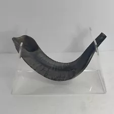 Kosher Ram Horn Shofar with stand 14 inches