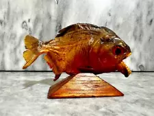 Red Belly Taxidermy Piranha Mount...Have you ever touched a piranha before?