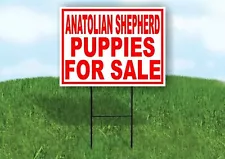 anatolian shepherd puppies for sale