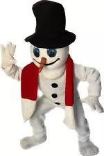 Snow Mascot Costume made by Mask us