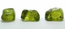 5.80 Gram 29 Carats Three Apple Peridot Facet Rough San Carlos Arizona ES8876OTH