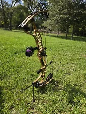 hoyt vtm 31 compound bow