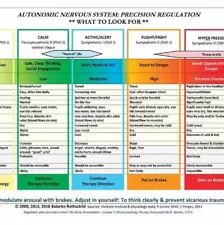 Autonomic Nervous System Table: Laminated Card by Babette Rothschild (English) C