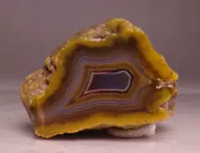 Turkish Agate Partial Half Nodule Collector Specimen Rock Turkey w/ Extra Slice