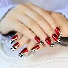 FULL COVER *WILD SIDE* Animal Print Red Gold Press On 24 Nail Tips Glue Set!