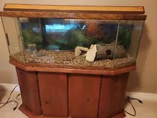 50 Gal Oceanic Aquarium w/stand and extras. 48Wx46Hx19D. Stand 25H. Pickup Only.