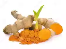 20+ Seeds Turmeric Root Seeds Curcuma Longa Rhizomes Root Herb & Organic NO GMO