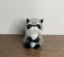 Taxidermy Miniature Animal Woodland Raccoon Real Fur Figure