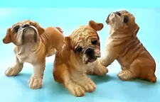 3 English Bulldog Figurines Collectables Tan & White Puppy Resin