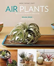 Air Plants : The Curious World of Tillandsias Paperback Zenaida S