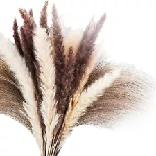 50 Pcs Dried Pampas Grass 18Inch, for Flower Arrangements Boho Wedding Home8113