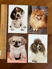 Lot of 4 Vintage Hallmark Dog Postcards: Beagle, Poodle, Pekingese, Pomeranian