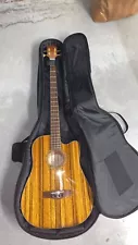 Fender Victor Bailey Signature Acoustic Bass Guitar Perfect Condition.