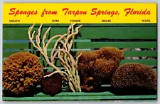 Tarpon Springs, Florida FL - Sponges from Tarpon Springs - Vintage Postcard