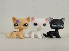 3pcs/lot Littlest Pet Shop short hair Cat #1962#64#336 Animal Figures