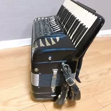 Accordion Exersaucher 911 Professional Model With Hard Case Sound Confirmed Used