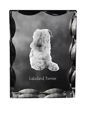 Lakeland Terrier - Crystal with a Dog Picture, Glass Statue with an Image, E