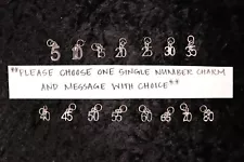 Celebrate your Success - One Single Number Charm for Weight Watchers Key Ring!