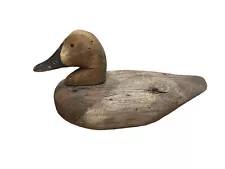 Early Canvasback Wooden Decoy 1900-1920 Rock Hall MD Chesapeake Bay Cecil County