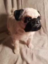 Lifelike Pug Dog Figure