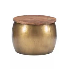 Linon Reid Metal Drum Table with Storage in Brass