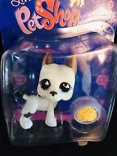 1~ New Littlest Pet Shop white Great Dane brown/blue eyes 577 Tom Dawson!