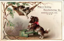 1880s-1900 Kendallville IND Wind Mill Dog Cat Flint & Walling Victorian Era Card