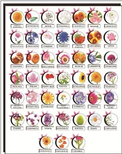 rare flower seeds for sale