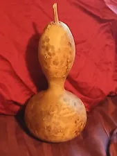 dried gourd for sale