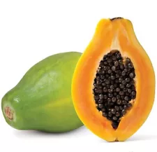 150+ Diamond Head Papaya Seeds (Carica papaya) Solo Papaya