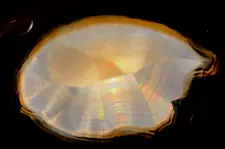 NATURAL IRIS AGATE - BRAZIL - 3 1/2 inches