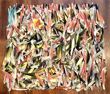 Parrot Conure Quaker Parakeet Red Green Yellow 1200 Bird Feathers Lot For Crafts