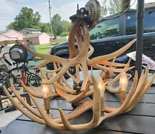 Deer Antler Chandelier