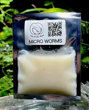 Micro Worm Starter culture Fish Food, Betta, Fry And Nano Fish **FREE SHIPPING**