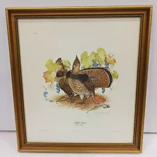 Don Whitlatch 'Ruffled Grouse' Signed/Numbered Print In Frame