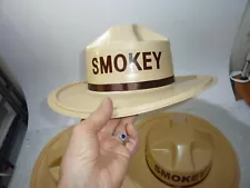 1 Vintage Smokey the Bear Plastic Hat Adult Size Halloween Costume Park Ranger