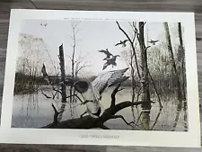 RJ McDonald "Green Timber Greenheads" Print Signed & Numbered 1082/1250