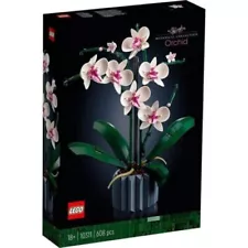 US Icons Orchid Plant & Flowers Set 10311,Anniversary Gift for Her and Him