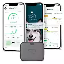 Whistle Go Explore Dog GPS Tracking Device and Pet Health Monitoring System Grey