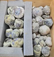 WHOLE DUGWAY GEODES UTAH 1/2 + POUNDS