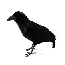 Black Lifesize Raven Movie Prop Fake Crow Halloween Accessory Bird Hunting Decoy