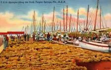 Sponges Dock Boats Tarpon Springs,FL Pinellas County Florida Vintage Postcard