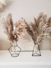 100 PCS Boho Pampas Grass, Naturally Dried, for Wedding or home decor